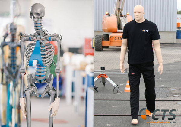 Skelett (links) und vollständiger biofideler Dummy (rechts)